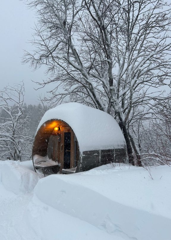 Sauna en hiver