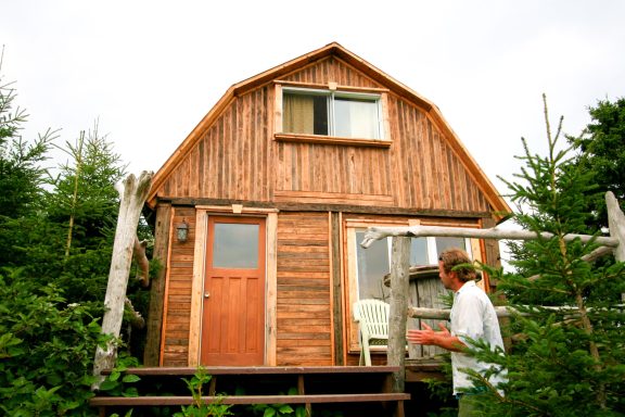 Chalet, conifer
