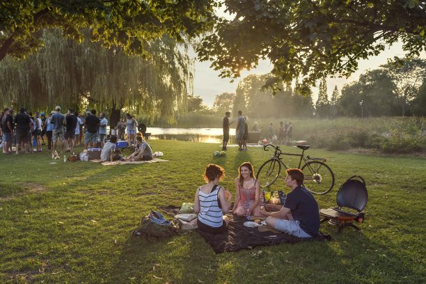 Youth group having a picnic in a park
