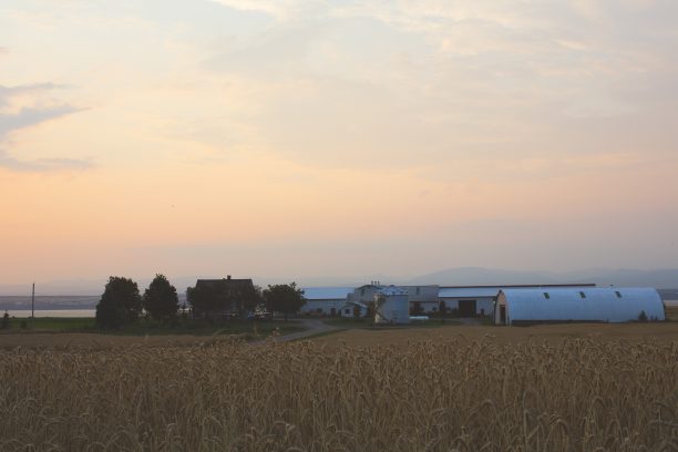 Sunset over fields