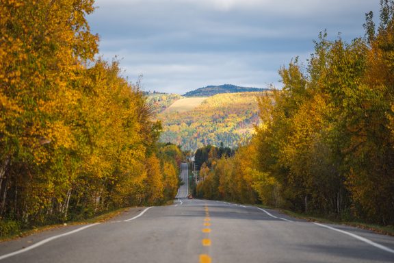 Route  de Charlevoix l'automne