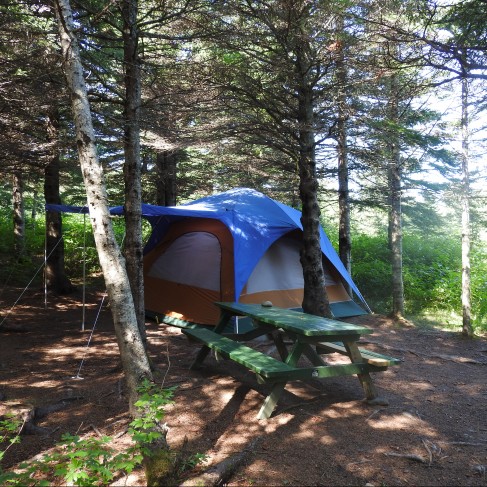 Tent in the middle of a forest