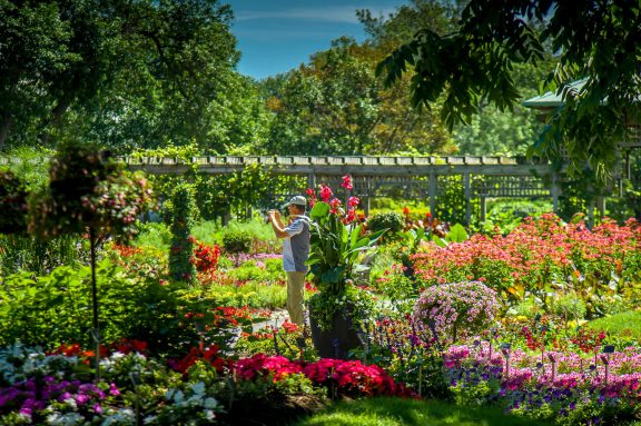 Flower gardens at the Montreal Botanical Garden