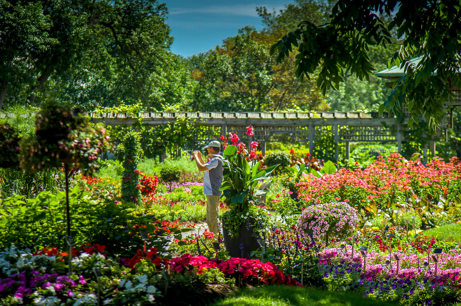 Flower gardens at the Montreal Botanical Garden