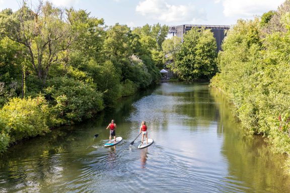 Two people on paddle boards