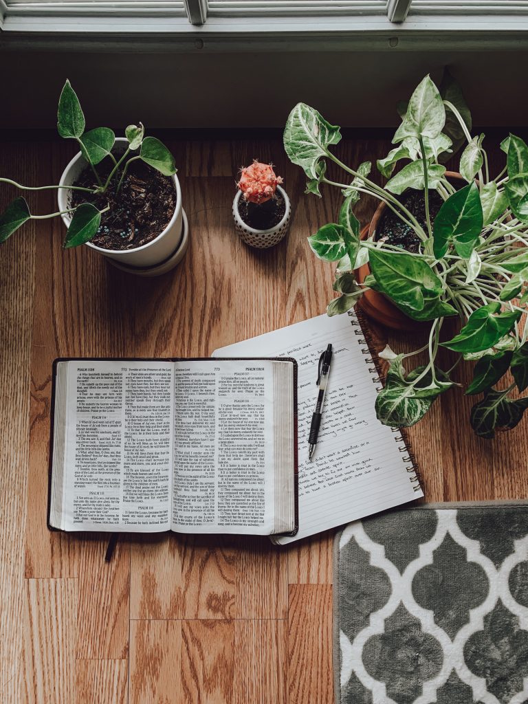 Livre et plantes sur le bord d'une fenêtre