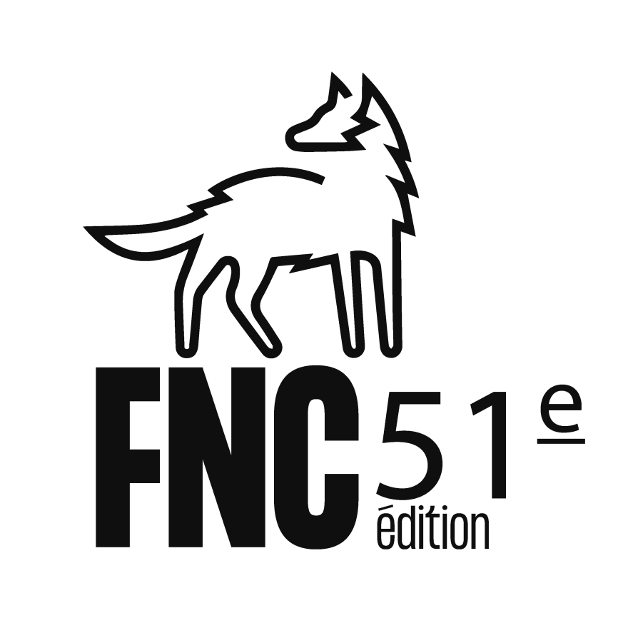 Logo - Festival nouveau cinéma