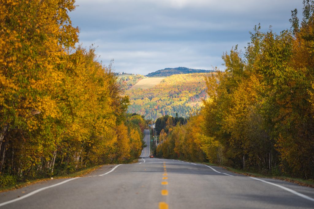 Route avec un paysage d'automne dans les montagnes