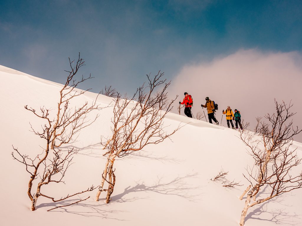 Randonneurs en hiver