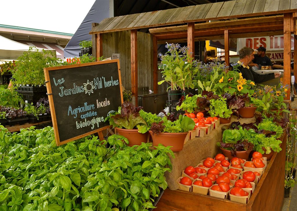 Vegetables at Jean-Talon Market