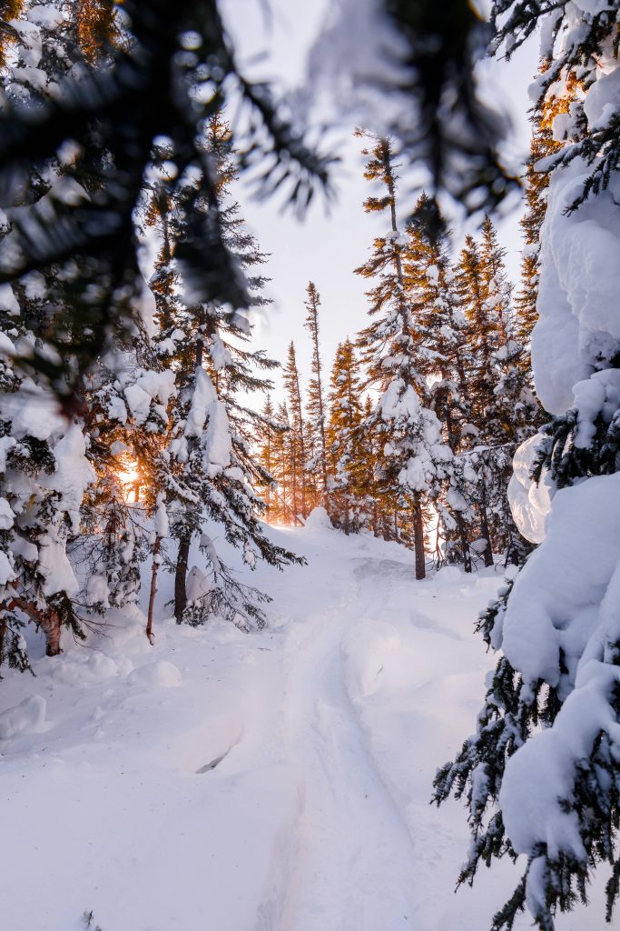 Sentier de raquettes au soleil couchant