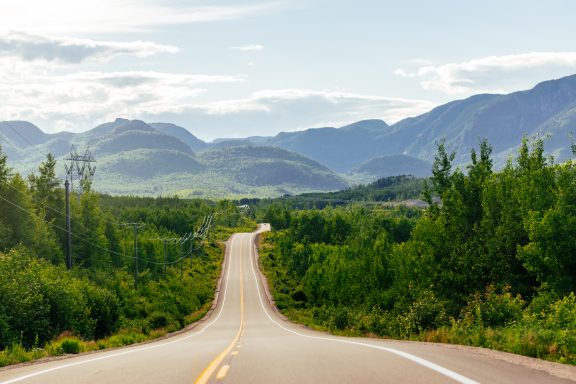 Une route avec forêt