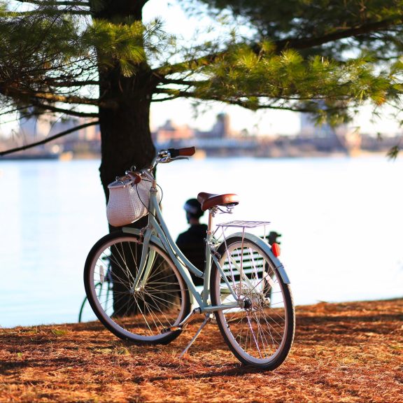 Un vélo accoté sur un arbre sur le bord de l'eau
