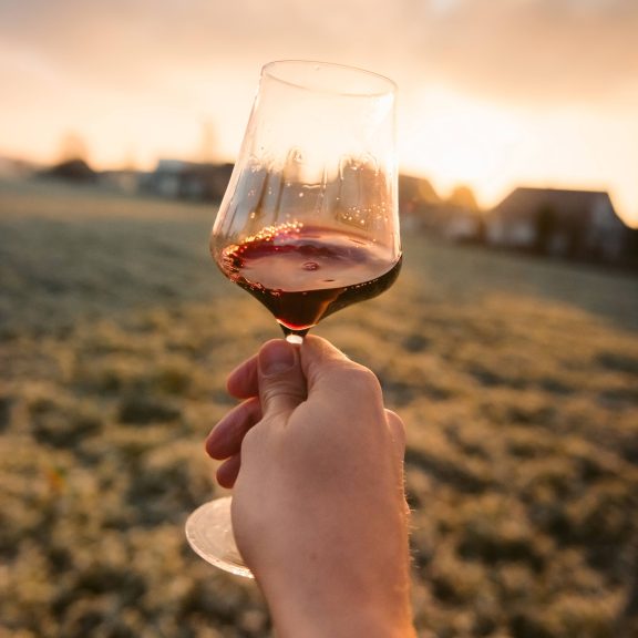Quelqu'un tient un verre de vin rouge devant un champ et un coucher de soleil.