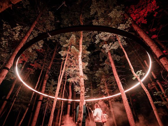 Onhwa' Lumina : Grand cercle lumineux dans une forêt