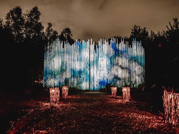 Onhwa' Lumina : Projection lumineuse sur des troncs d'arbres