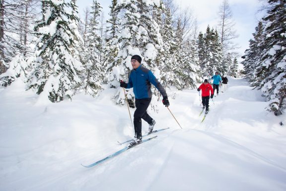 Four people cross-country skiing on a snow-covered trail.