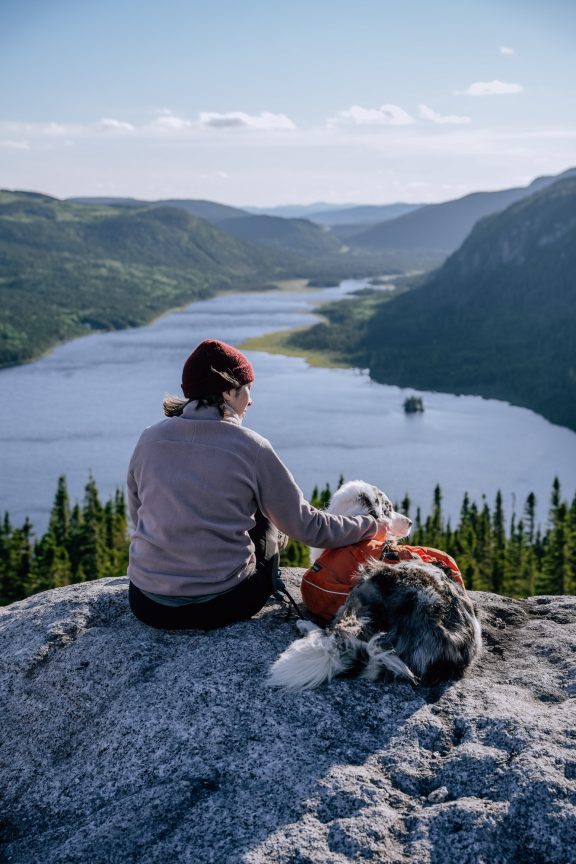 Un chien et son maitre au sommet d'une montagne