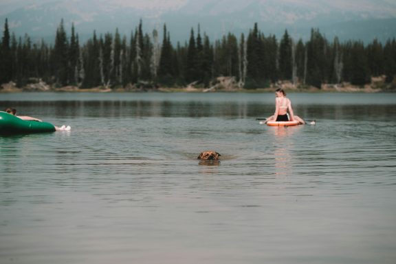 Une personne sur une planche à pagaie avec un chien qui nage