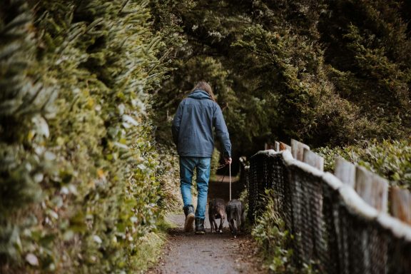 Une personne qui marche avec ses chiens