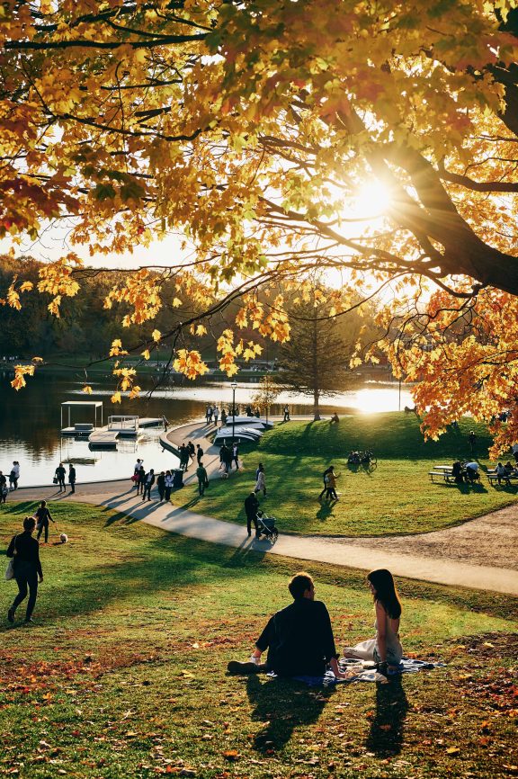 Un parc l'automne à Montréal