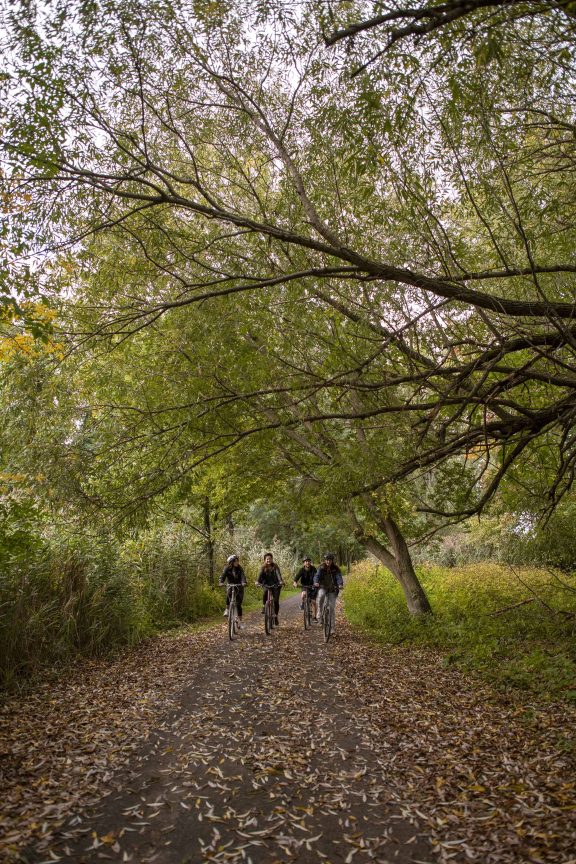 Quatre personnes qui font du vélo aux îles de boucherville