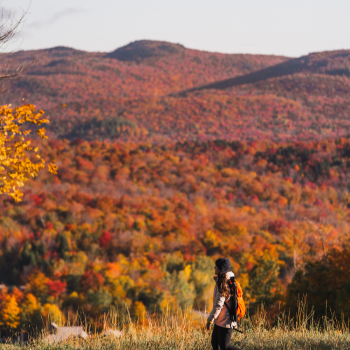 Découvre les meilleures randonnées au Québec avec les plus beaux points de vue : Gaspésie, Laurentides, Cantons-de-l'Est et Bas-Saint-Laurent.